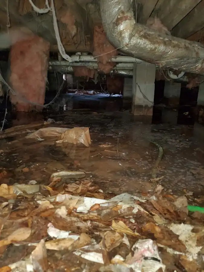 Crawl space flood assessment for Leak Detection & Repair in Prairie du Chien